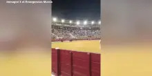 Spagna, toro salta la barriera e finisce tra il pubblico a Murcia