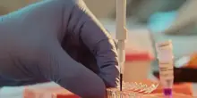 Dall'IA di Anthropic un sistema di enzimi mai visto   VIDEO