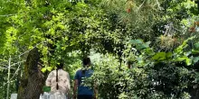 Pillon, 'i bimbi del bosco nel casolare per la prima volta dopo 11 mesi'