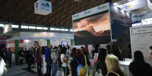 Dal Beach Wedding ai cammini, Rimini scalda i motori per Ttg Travel Experience