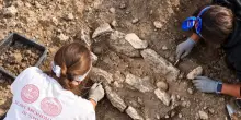 Resti di bambini durante gli scavi in una chiesa medievale nel Foggiano