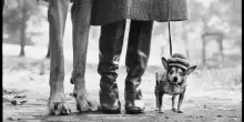 'L'arte di osservare', una rilettura inedita di Elliott Erwitt in mostra a Bologna