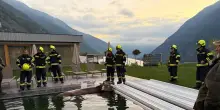 Una mucca finisce in una piscina di un hotel benessere in Alto Adige