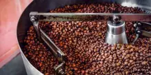 Nel 2025 in Italia prodotte 424.168 tonnellate di caff&egrave; tostato e solubile