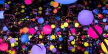 The Quantum Effect, quando l'arte incontra la teoria quantistica