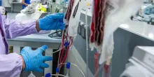 Nelle Marche donazioni del sangue calano oltre la media Italia, in 7 mesi -6,7%