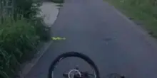 Ciclista invest&igrave; cinghiale, muore dopo una settimana in ospedale
