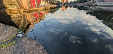 La chiazza di gasolio nel Naviglio &egrave; lunga 28 km e ha raggiunto la Darsena. 'Danni pesanti alla biodiversit&agrave;'
