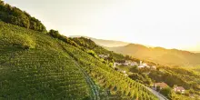 Agea e Bper insieme per favorire l'accesso al credito delle imprese agricole
