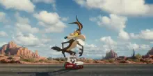 Incassi cinema, al top la nuova uscita Coyote vs Acme regge l'Odissea