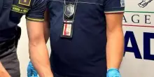 Testa di coccodrillo nella valigia, denunciato un uomo a Torino Caselle