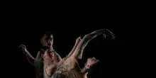 Performative torna al Maxxi L'Aquila, oltre 50 appuntamenti gratuiti