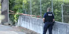 Ancora ladri nei musei francesi, rubati due Renoir in Costa Azzurra