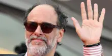Artificial di Guadagnino presentato tra gli applausi al NY Film Festival