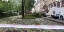 Tempesta di grandine su Parigi, alberi caduti in strada