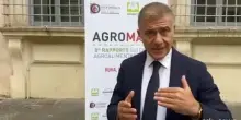 Pecoraro Scanio: "Serve una legge contro le agromafie"
