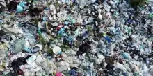 Giornata Mondiale dell'Ambiente, il report WWF su plastiche e rischi
