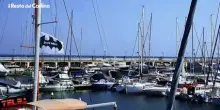 Il video dei delfini nel mare Adriatico