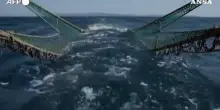UK, Il film "Ocean" racconta la pesca a strascico e il Paese si muove verso il divieto