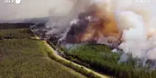 Incendi in Canada, bruciati oltre 20mila ettari di bosco a Kiskatinaw