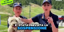 Lo spot della polizia contro l'abbandono degli animali