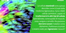 Ansa VERIFIED - Le cellule staminali aiutano a curare le malattie?