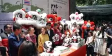 Festa per i 35 anni di Xin Xin, l'ultimo panda gigante del Messico