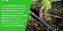 Ansa VERIFIED - E' vero che gli incendi boschivi in Italia stanno aumentando?