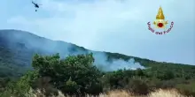 Incendio in un bosco nell'Anconetano: il video