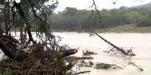 Alluvioni e inondazioni in Texas, oltre 50 morti