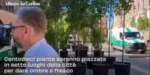 Gli alberi anti caldo sono arrivati a Bologna: il video