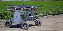 Robot AI per sostituire i diserbanti e i braccianti agricoli