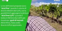E' vero che tutti i vini "dealcolati"&nbsp;non contengono alcol?