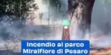Incendio al parco Miralfiore di Pesaro: video