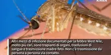 La febbre West Nile, sintomi gravi nell'1% dei casi. Attenzione alle punture di zanzare