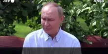 Putin: "Pace garantisca la sicurezza di Russia e Ucraina"
