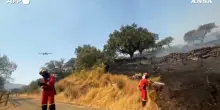 Incendio in Estremadura, quest'anno bruciati quasi 100mila ettari in Spagna