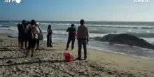 Messico, carcassa di balena si arena sulla spiaggia di Tijuana