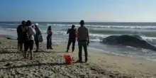 La carcassa di una balena spiaggiata a Tijuana in Messico
