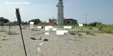 L'isola dell'amore di Goro, il video