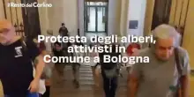 Protesta degli alberi, attivisti in Comune a Bologna: il video