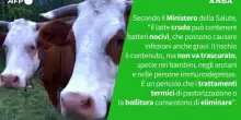 Ansa VERIFIED - E' vero che il latte fresco e' equivalente al latte crudo?