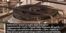 Inflazione: aumentano carne e verdure, in calo energia, gas e tlc