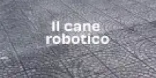 Il video del cane robotico