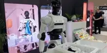 Quando la tecnologia è da perfezionare, missione fallita per il robot