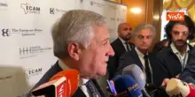 Corteo pro Gaza, Tajani condanna scontri: La pace non si difende con atti di violenza