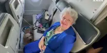 Su Ita il primo volo con due cani in cabina senza trasportino