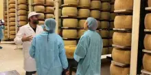 Boom Parmigiano Reggiano: caseifici aperti ed export da record