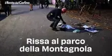 Rissa al parco della Montagnola: video