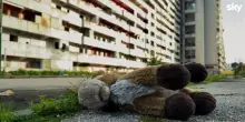 "La diaspora delle Vele", Francesca Comencini torna a Scampia
